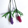 Maj Perle lilla og lyserød hyacint perleblomst